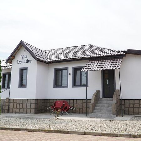 Vila Exclusive Târgu Jiu Exteriör bild