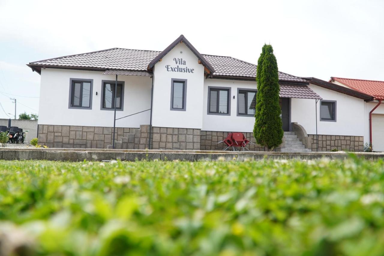 Vila Exclusive Târgu Jiu Exteriör bild